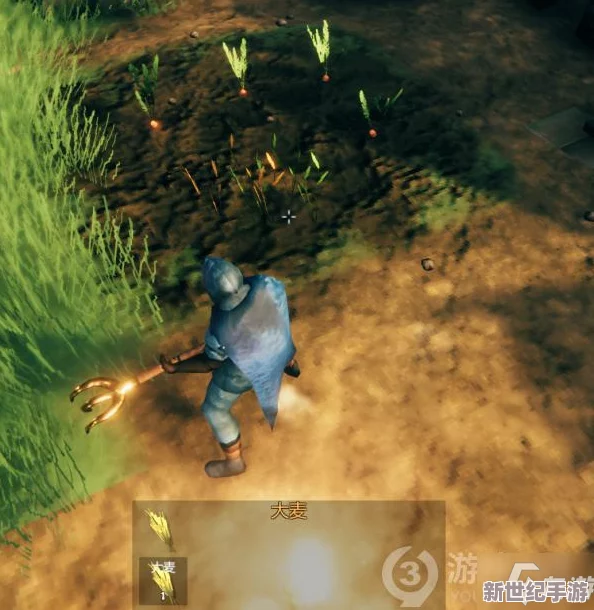 《Valheim:英灵神殿》农耕秘籍：从零开始打造丰饶田园生活！