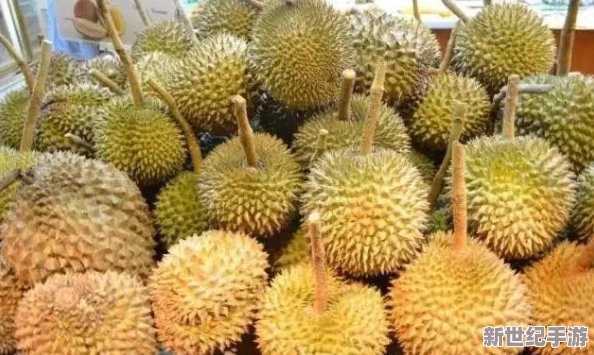榴莲秋葵丝瓜香蕉18款，让你在味蕾的旅程中探索独特口感与无与伦比的美味体验
