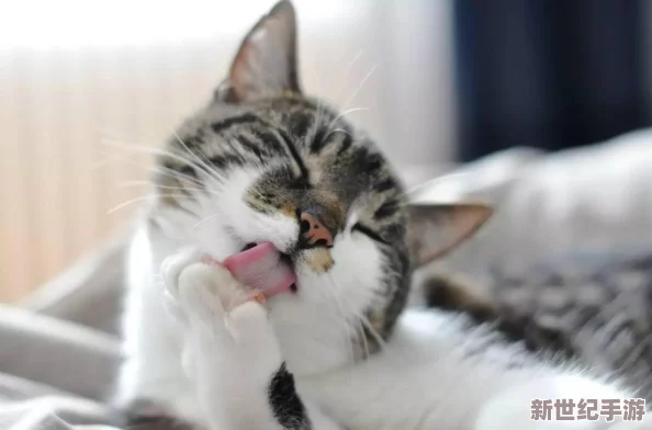 深入剖析《怪物猎人崛起》：斩味锋利度背后的狩猎奥秘！