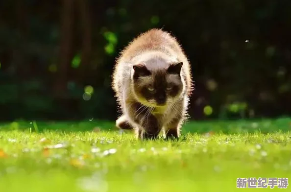 深入剖析《怪物猎人崛起》：斩味锋利度背后的狩猎奥秘！