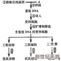 理论电线在现代科技与可持续发展中的应用前景分析