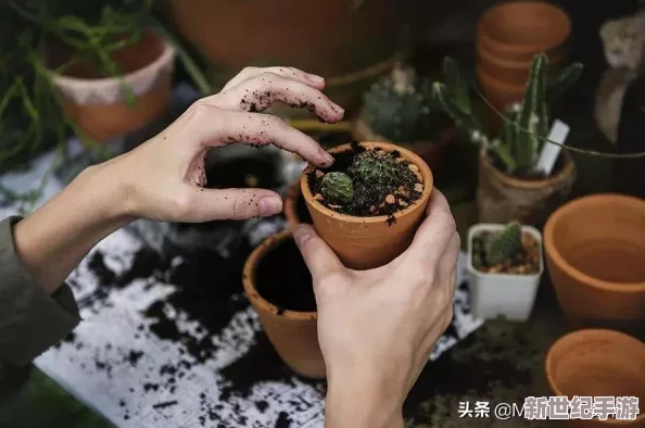 小白花浇灌日常：网友热评9.5分，绿意盎然的生活新体验