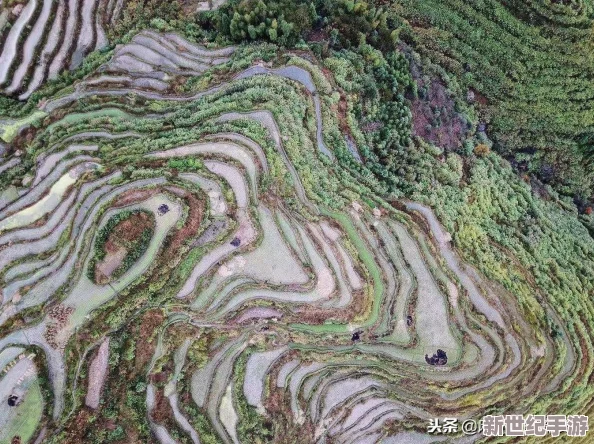 远古馈赠地刺陷阱：巧妙策略助你安全穿越挑战关卡！