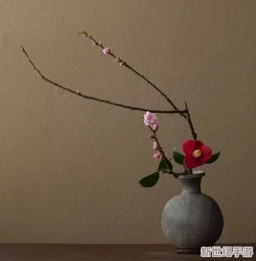 插花弄玉曲径通幽罗夏至，感受自然之美与心灵的宁静共鸣
