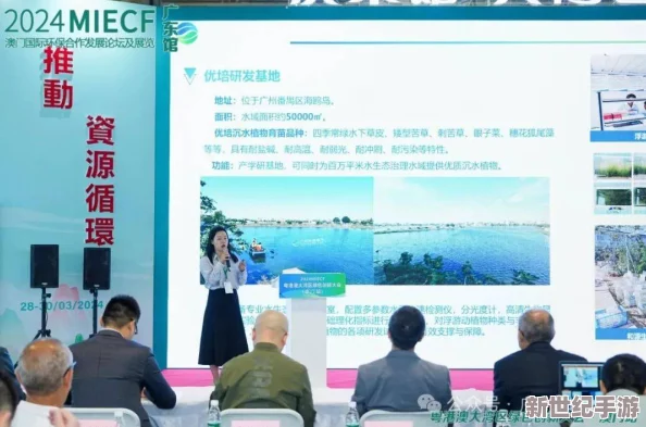 麻豆传煤入口麻，畅享绿色能源新未来，助力可持续发展与环保创新