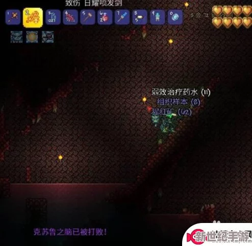 泰拉瑞亚：高效速刷红玉技巧与策略大公开！