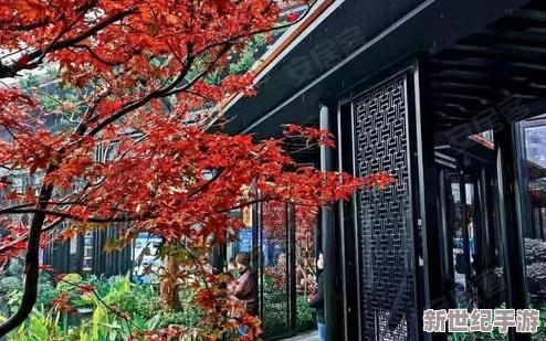 怡红院久久：用户评价彰显诗意生活与匠心经营的完美融合