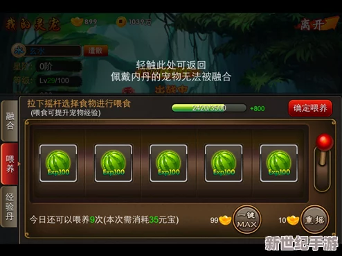 探索灵界奥秘：全方位游灵攻略秘籍专享指南区