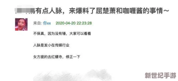 Javaparser乱偷无码：深度剖析其背后的技术与道德争议